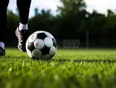 世界杯,资讯,2026世界杯,2026世界杯,世界杯赛程,参赛队伍,场馆信息,赛事资讯